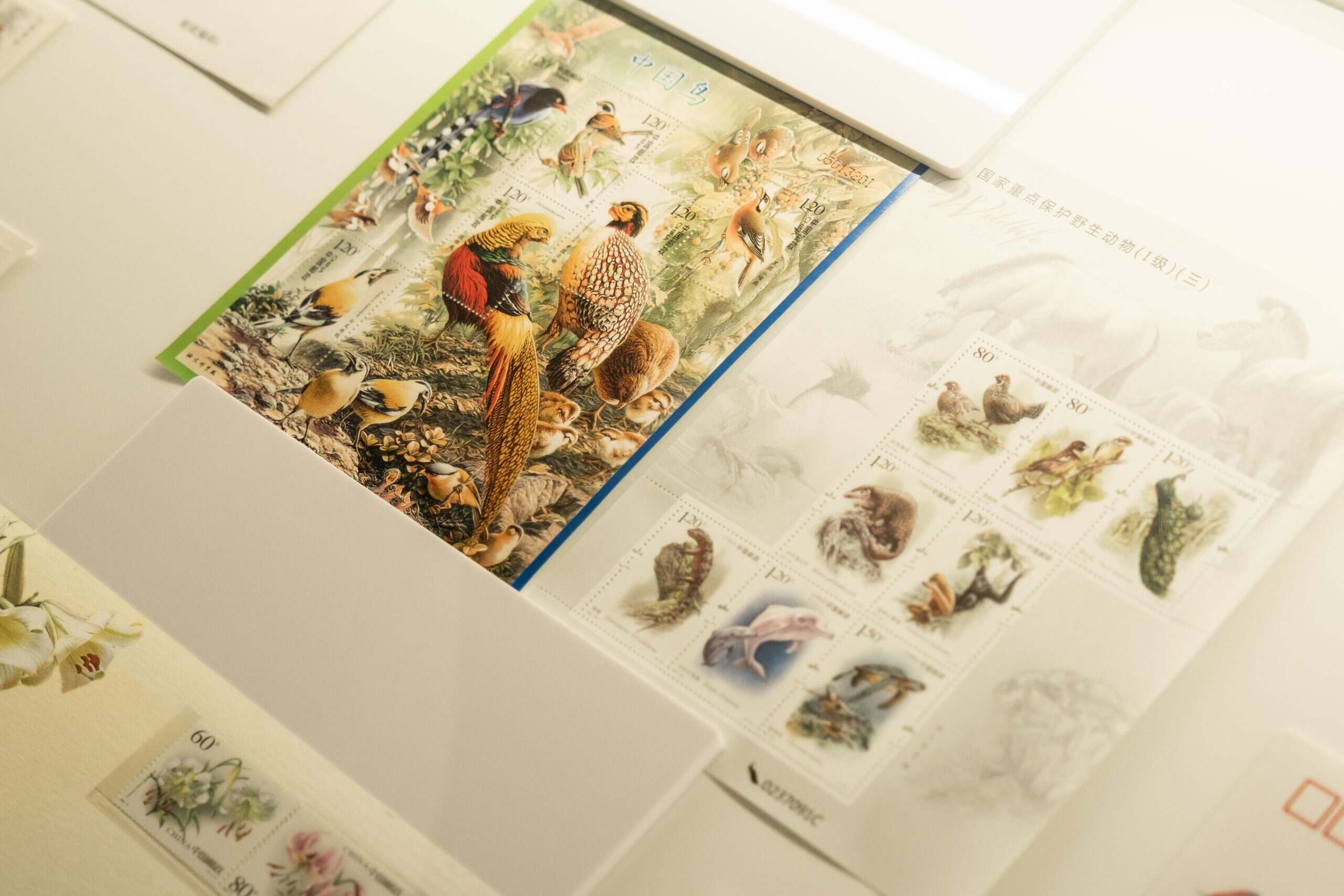 「草木有本心：曾孝濂博物繪畫精選展」即將在托勒密博物館開幕